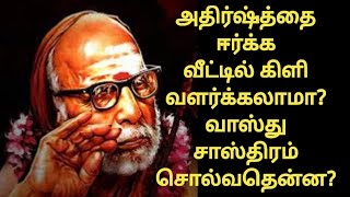 periyava-அதிர்ஷ்த்தை ஈர்க்க வீட்டில் கிளி வளர்க்கலாமா? வாஸ்து சாஸ்திரம் சொல்வதென்ன|@OhmNARPAVII