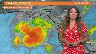 Tropical Depression 2 forms in the NE Gulf of Mexico