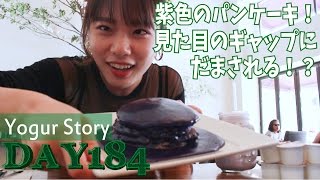 【ハワイグルメ】紫色のパンケーキ！？でも絶品！！ギャップ満載の人気店！-Yogur Story in hawaii[day184]