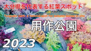 大分県のもみじの名所「用作公園」2023 Yuujyaku park a famous spot for autumn leaves in Oita.