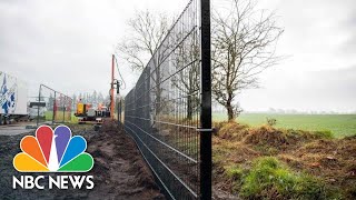 Denmark Erects 43-Mile Fence Along German Border - To Protect Its Pork Industry | NBC News