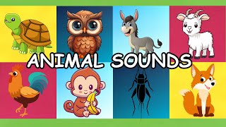 Fun Animal Sounds Song Domestic and Wild: Learn Animal Sounds for Kids | Nursery Rhymes for Toddlers