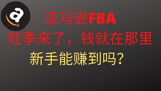 亚马逊2020旺季来了，新手能赚到钱吗？★海麦亚马逊FBA★