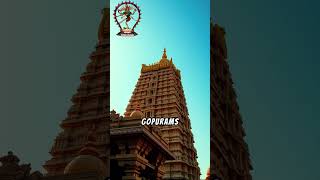 Discover the Mystique of Nataraja Temple