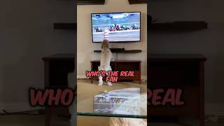 This Dog Loves Horse Racing! 😂