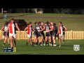 2017 bdafl round 12 feature match highlights newcastle city blues v terrigal avoca panthers