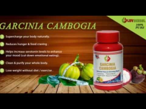 Facts and Benefits of Garcinia Cambogia Facts and Benefits of Garcinia Cambogia
