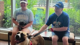 WHAS11 Shelter Star Butter finds his fur-ever home