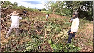 EP203 - Restoring our Old Fish Pond | Maruya A La Mrs. Harabas sa Meryenda