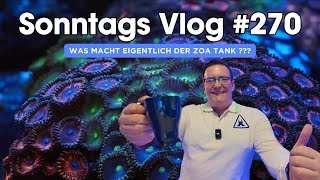 💦 Der Meerwasseraquaristik Sonntags Vlog EP 270 💦 Was macht eigentlich der ZOA TANK ??? 💦