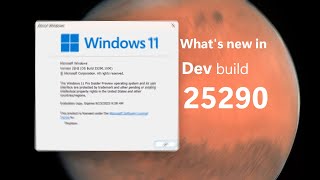 Windows 11 Dev build 25290 and what's new - More Widgets and better Tabs