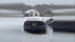 Acadiana Sneaux Day viewer-submitted videos 3