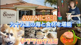 【チワワのクルミ】&WANに宿泊🌊九十九里の海と食材を満喫の休日🐚2023年7月6日〜7月7日