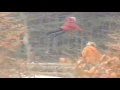 11 People with REAL superpowers CAUGHT ON TAPE