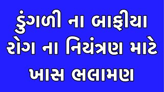 આજની કૃષિ માહીતી-ડુંગળી ના બાફીયા રોગ ના નિયંત્રણ માટે ખાસ ભલામણ-dungadi ma bafiyo-onion pesticide