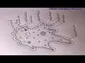 How TO Draw amoeba step by step/amoeba drawing