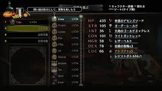 初見プレイを垂れ流して逝くドラゴンズクラウンプロ#3