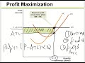 chapter 9 firms in competitive market