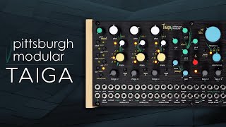 Pittsburgh Modular Taiga Sound Demo (no talking) with Empress Echosystem