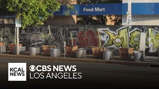 Hollywood business puts planters on sidewalk to prevent homeless encampments