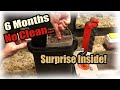 Cleaning a Fluval 407 after 6 MONTHS! | SUPRISE INSIDE!