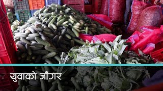 वैदेशिक रोजगारीबाट फर्केका सल्यानका युवा तरकारी खेतीमा आकर्षित | Kantipur Samachar