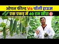 Polyhouse या Open Field 🏡 | खीरा उत्पादन में बढ़वार कहाँ मिलेगी? 🌱 Cucumber Farming | AgroStar