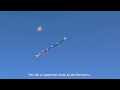 elevation box kite and crazy tube tail