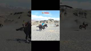 #yahyo #palvon #boyka #kopkari #buzkashi #uloq #shorts #video #trend