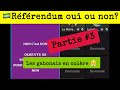 🇬🇦Référendum oui ou non?