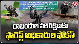 Forest Officials' Preparations For Vulture Conservation In Palarapu Gutta | Asifabad | V6 News