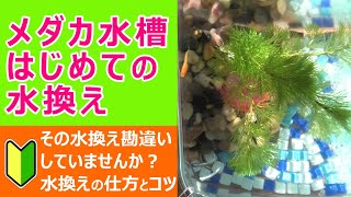 メダカ水槽はじめての水換え【初心者】【100均】