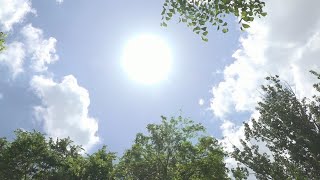 Why dewpoint is better than humidity