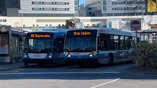 STM bus compilation (November 2024)