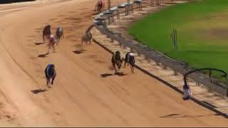 Gunnedah-04022018-Race-2