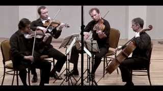 Brahms - String Quartet Op. 51 No. 1 - ZAGREB QUARTET