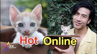 Hot Online : ชาวเน็ตแห่ชื่นชม “โย่ง” เก็บแมวข้างถนนมาเลี้ยง