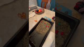 Ripple Effect (Option A) 1 of 3