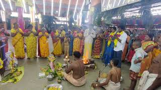 ஆலங்குளம் முத்தாரம்மன் கோவிலில் கோமாதா சிறப்பு பூஜை