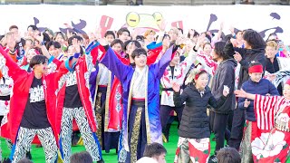 [4K] 総踊り『うらじゃ音頭』　堺よさこいかえる祭り 2024 大仙公園会場 (中央)