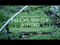 WINTER SOWING OR FALL PLANTING: WHEN to Plant Cut Flowers - Easy Seed Starting, No Grow Lights