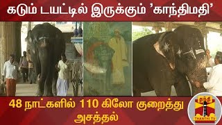 கடும் டயட்டில் இருக்கும் 'காந்திமதி' - 48 நாட்களில் 110 கிலோ குறைத்து அசத்தல் | Nellaiappar Temple