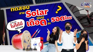 สาย Solar ของ LINK ทนทาน ใช้งานได้สมบุกสมบัน สมคำร่ำลือจริงไหม?, ep.07