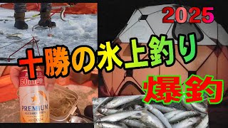 2025.1.14　★爆釣★【浦幌十勝川の氷上釣りDAY2】 （氷上ワカサギ釣り場：#糠平湖・#阿寒湖・#網走湖・#置戸湖・#チミケップ湖・#金山湖・＃トイトッキ沼）