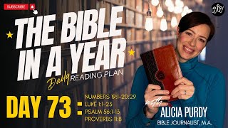 Day 73: THE BIBLE IN A YEAR READING PLAN! - Numbers, Luke, Psalms \u0026 Proverbs!