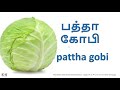 15 vegetables names in hindi 2020 spoken hindi in tamil 2020 hindi vegetable names in tamil