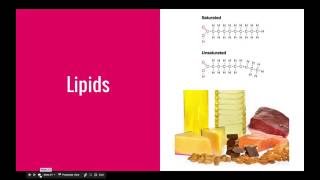 Macromolecules - Lipids