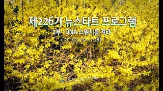 H226 07 산상보훈 (팔복?)