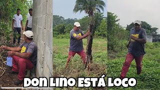 Don Lino Está Completamente Loco Mira Lo Que Hace De La Casa Que Vendió?