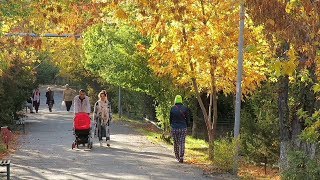 Yerevan, 19.10.17, Th, Video-1, Ashun, Norki araji masiv.